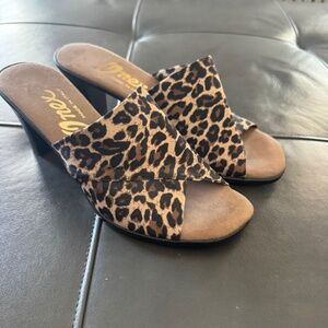 Leopard shoes